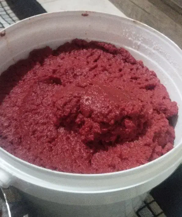 رب گوجه خانگی کیلویی ۹۵|خوردنی و آشامیدنی|اندیمشک, |دیوار