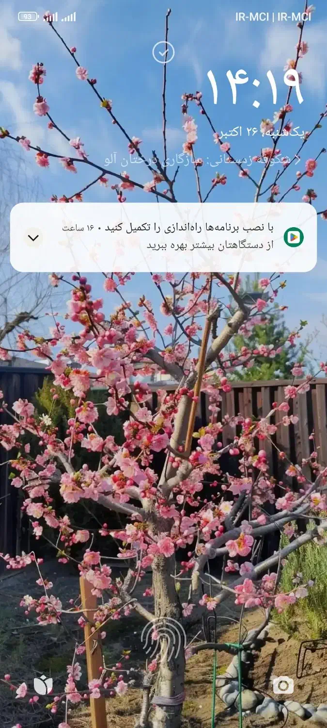 زمین|فروش زمین و ملک کلنگی|سیرجان, |دیوار