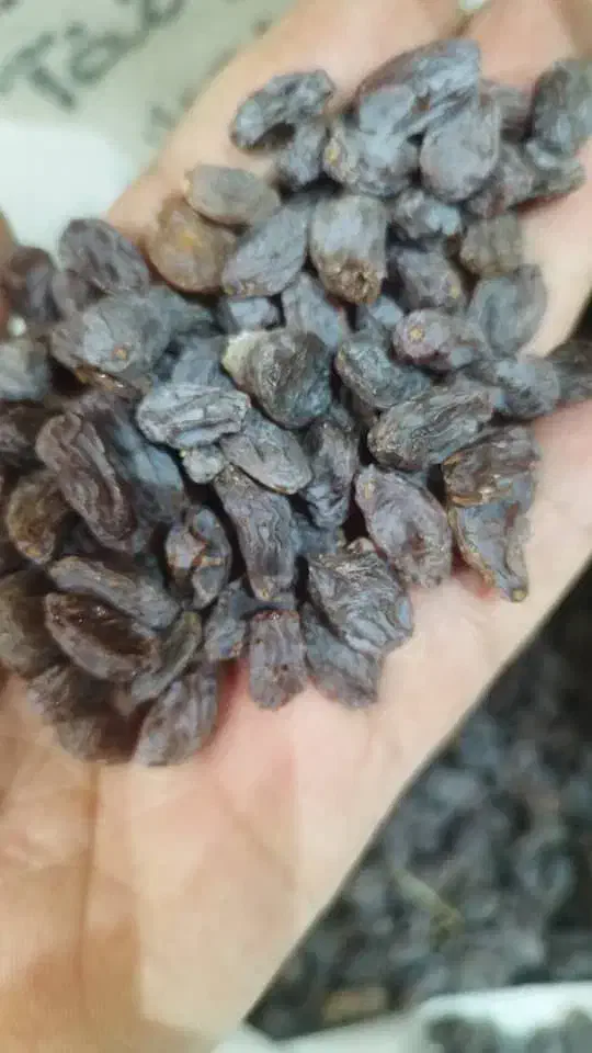 کشمش بدون هسته دم گرفته بوانات|خوردنی و آشامیدنی|شیراز, انجیر|دیوار