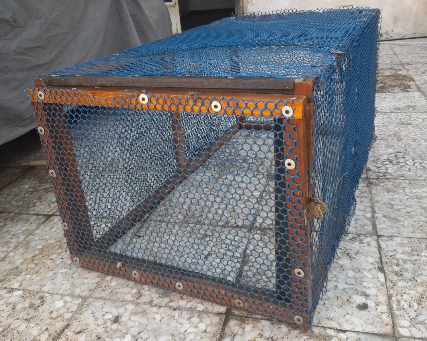 باهنر|حیوانات مزرعه|اهواز, کوی باهنر|دیوار