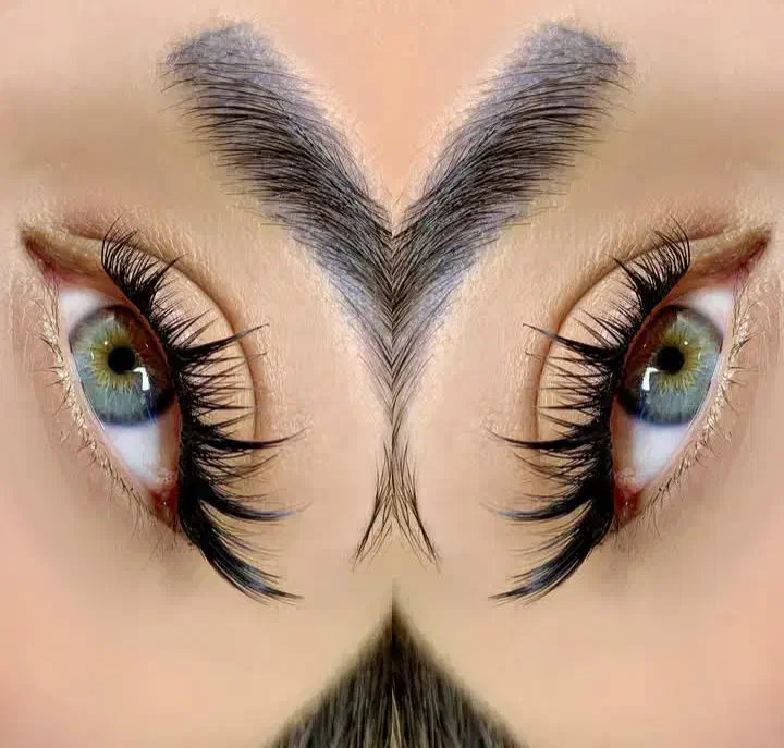 کاشت مژه .لیفت مژه و ابرو|خدمات آرایشگری و زیبایی|مشهد, زمرد|دیوار