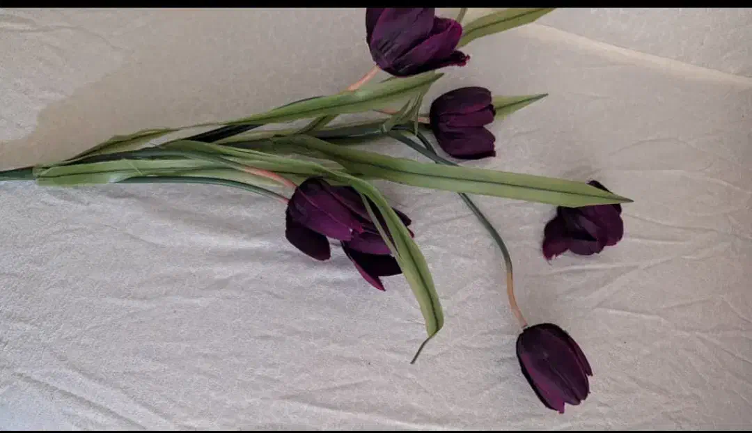 گل مصنوعی|گل مصنوعی|شیراز, آزادی|دیوار