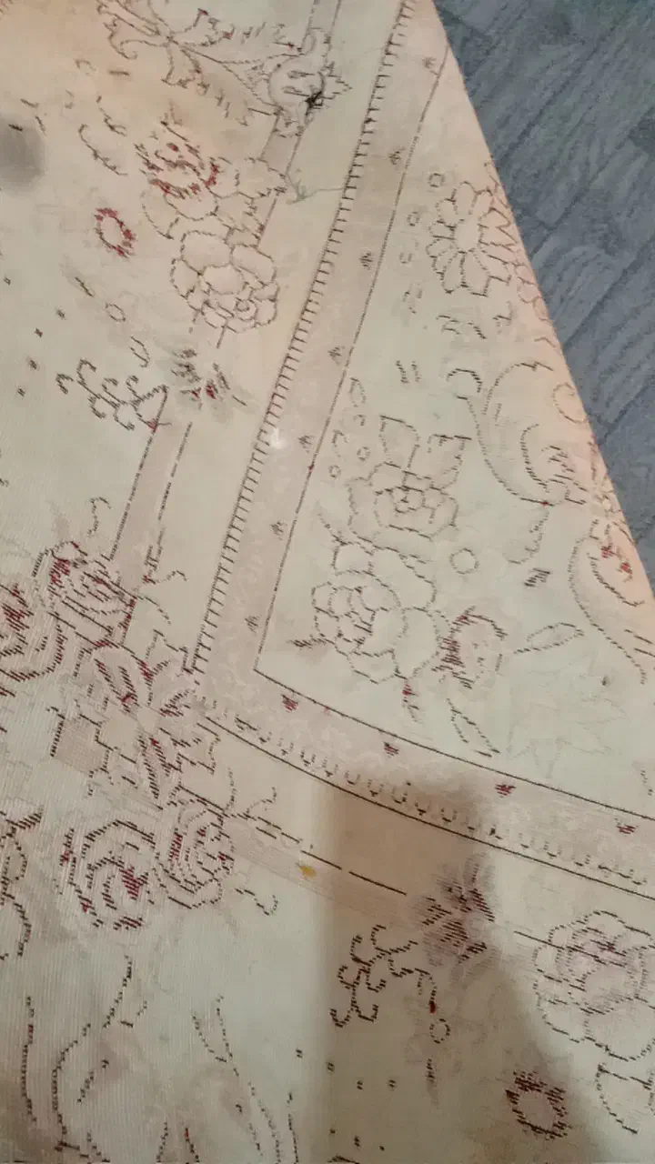 قالی|فرش|سوسنگرد, |دیوار