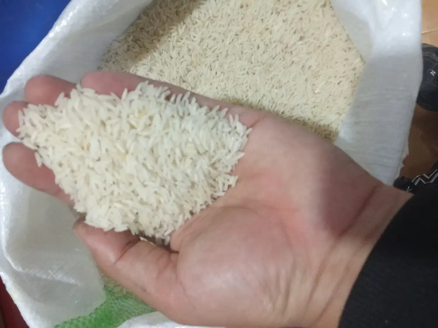 برنج فجر|خوردنی و آشامیدنی|تالش, هشتپر|دیوار