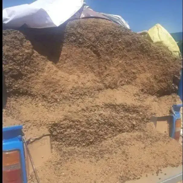 کودحیوانی|لوازم جانبی حیوانات|شاهیوند, |دیوار