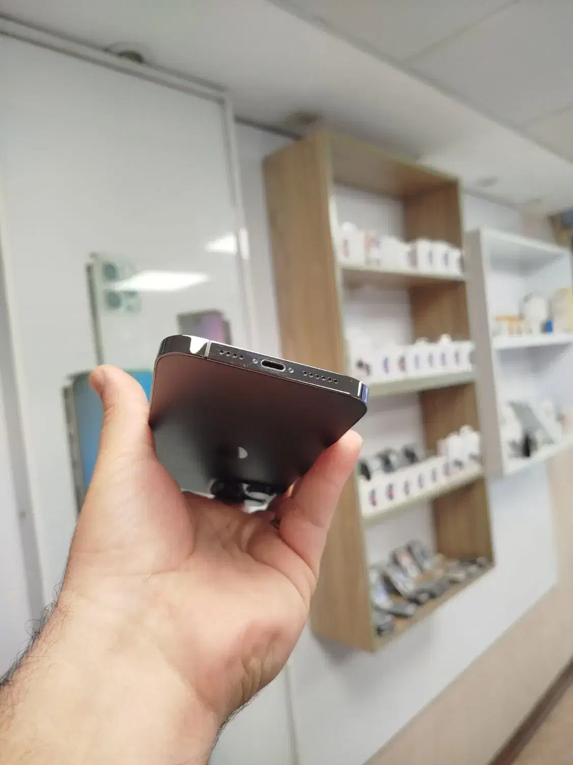 13promax256 gig Zaa|موبایل|رشت, لاکانی|دیوار