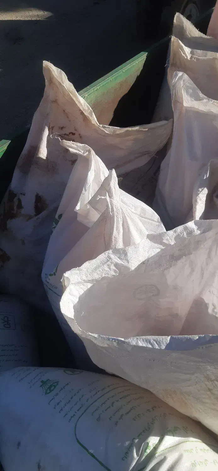 گندم قیمت مناسب تمیز بذردیم آماده کشت|لوازم جانبی حیوانات|چنگ الماسی, |دیوار