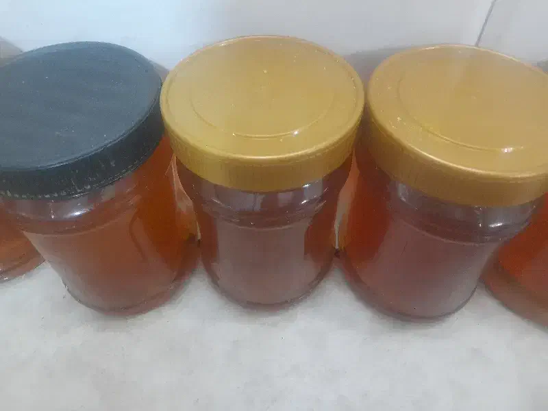 عسل|خوردنی و آشامیدنی|قم, گلزار|دیوار