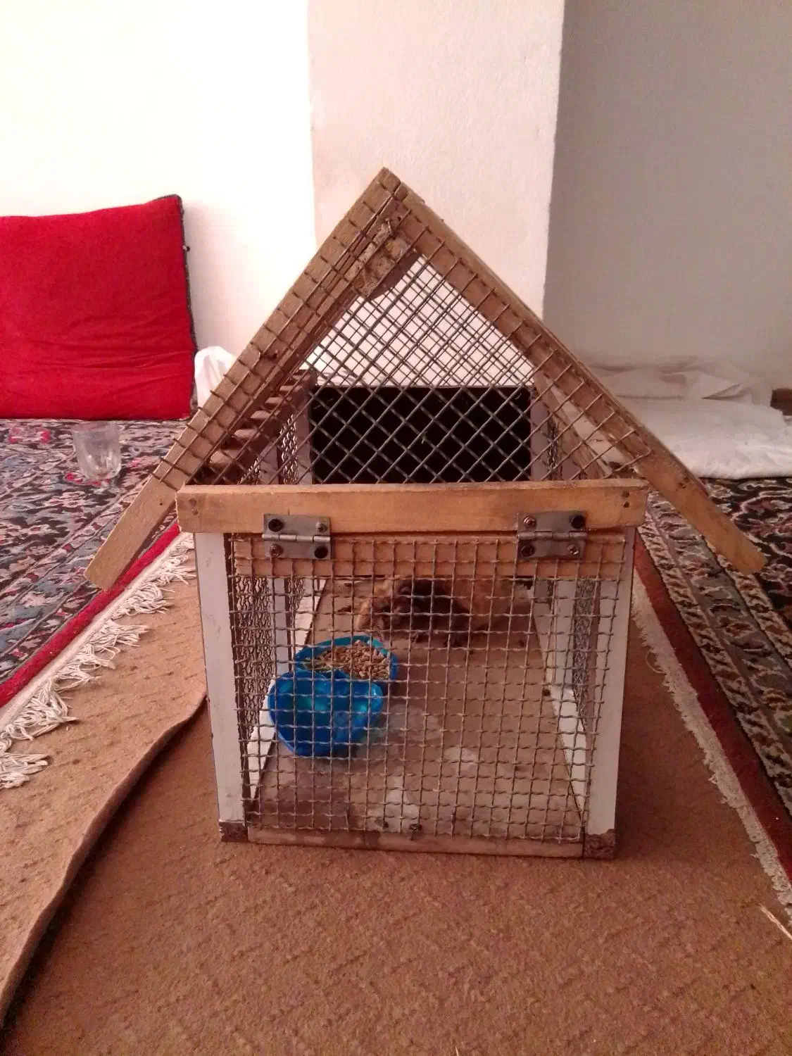 قفس چوبی محکم طرح کلبه|لوازم جانبی حیوانات|نجف‌آباد, یزدانشهر|دیوار