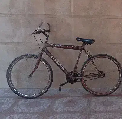 1عدد دوچرخه|دوچرخه، اسکیت، اسکوتر|برازجان, |دیوار