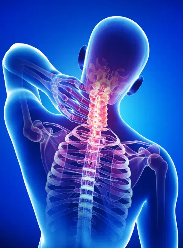 راهکار خانگی دارم|فعالیت داوطلبانه|برخوار, |دیوار