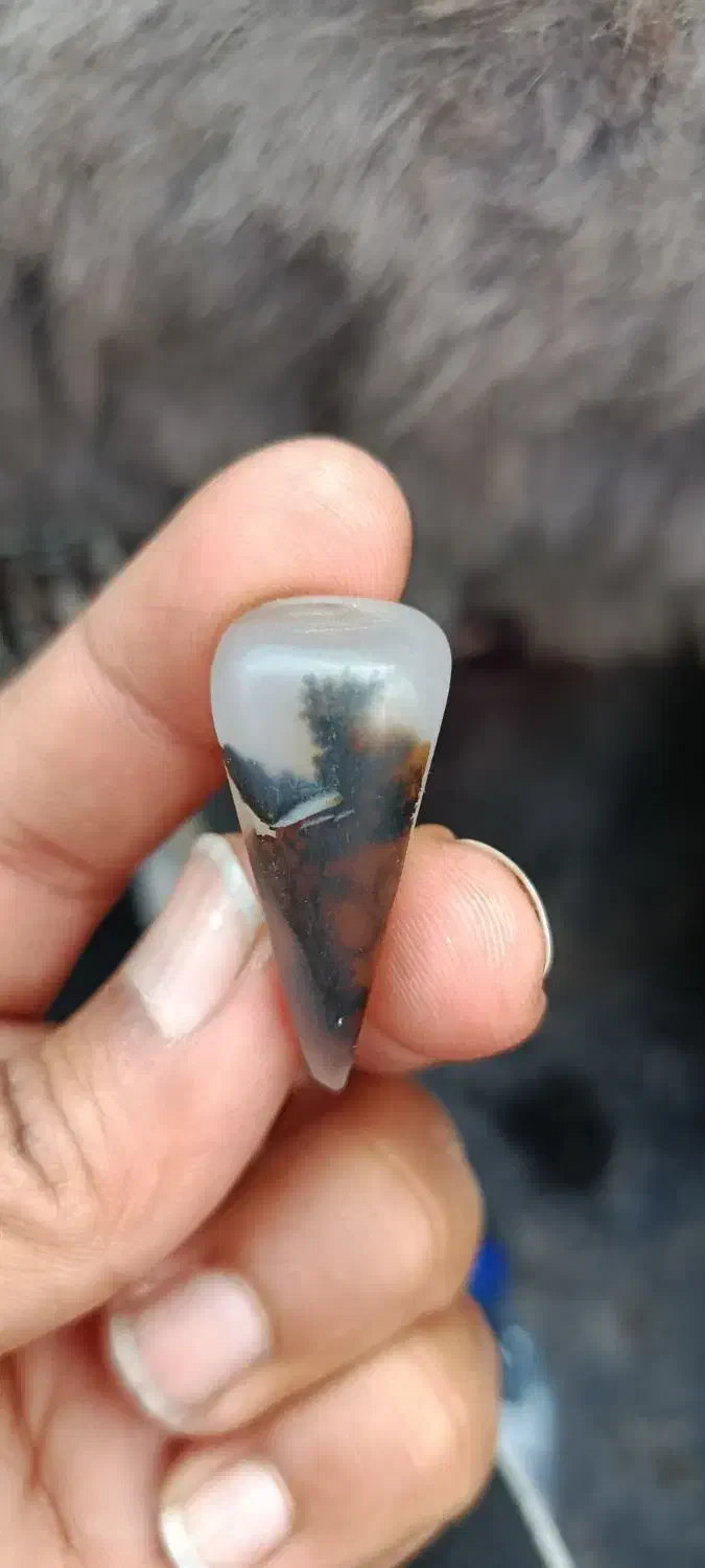 سنگ شجر معدنی|کلکسیون اشیاء عتیقه|کرمان, |دیوار