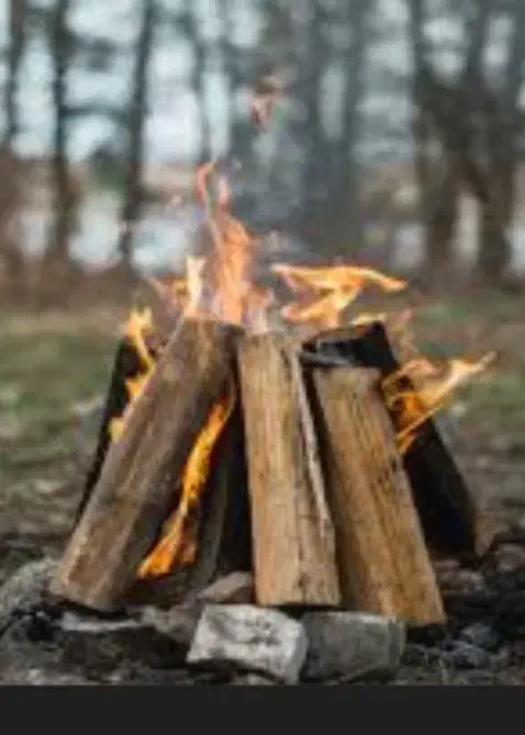 خرید هیزم چوب خشک و هرس درختان باغ|خدمات باغبانی و درختکاری|کرج, شهرک احمدیه‎|دیوار