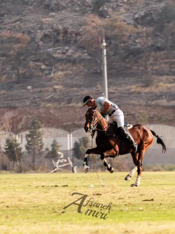 کارگر باشگاه سوارکاری|استخدام سرایداری و نظافت|باسمنج, |دیوار