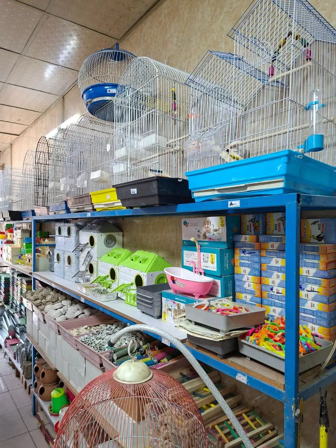 پرنده ...|پرنده|قم, نیروگاه|دیوار