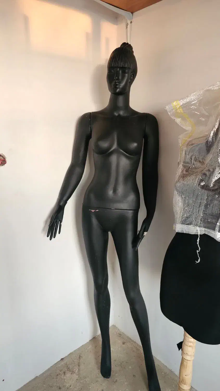 مانکن و رگال و چوب کار و یک عدد مانکن سایز بزرگ|فروشگاه و مغازه|همدان, |دیوار