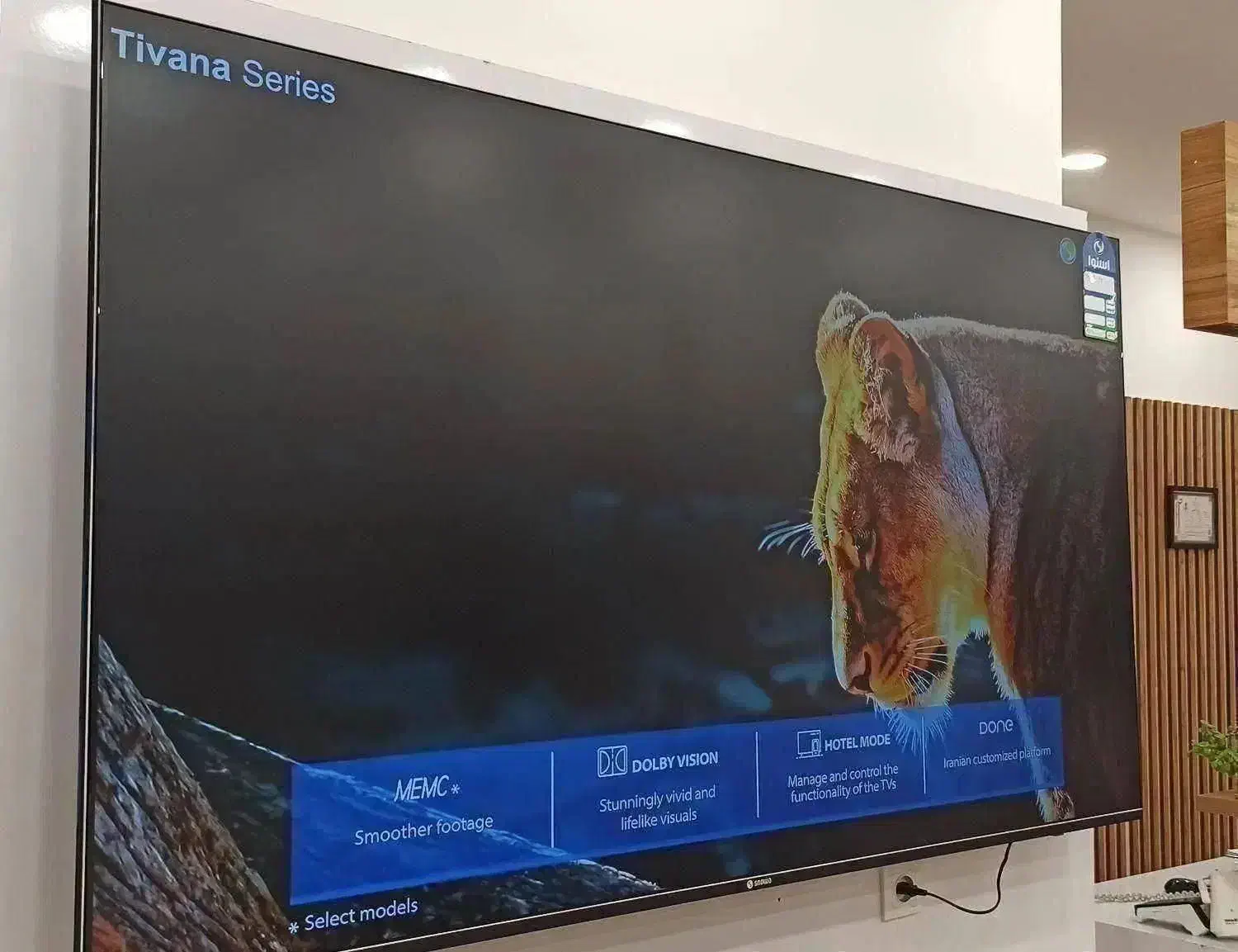 جشنواره پاییزه تلویزیون اسنوا و دوو(شعبه مرکزی)|تلویزیون و پروژکتور|بیرجند, |دیوار