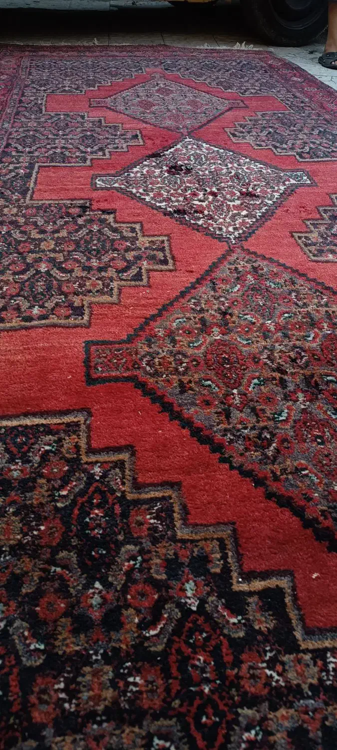 قالی کوردی|فرش|سنندج, |دیوار