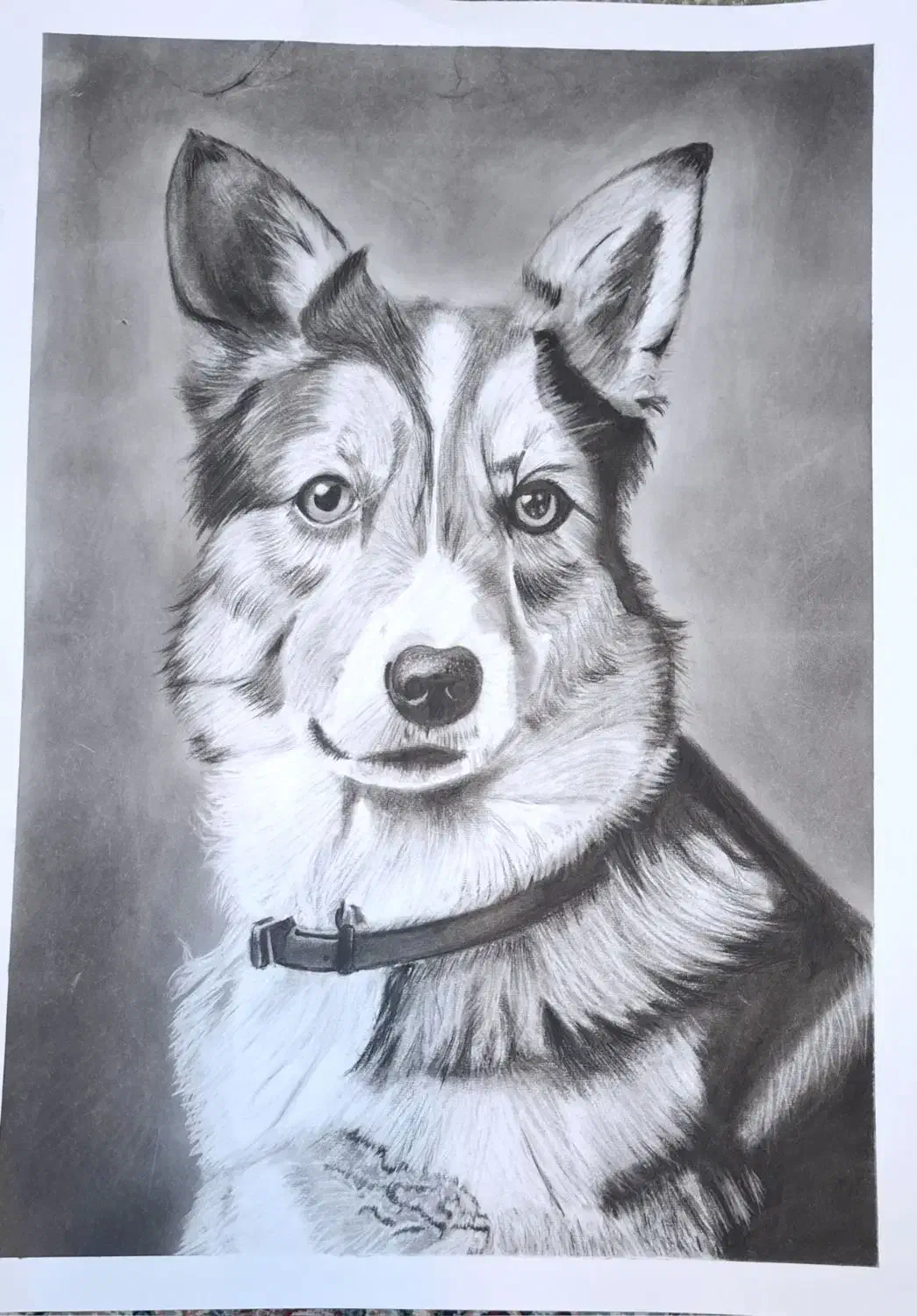 نقاشی سیاه قلم منظره با تکنیک کنته و ذغال|تابلو، نقاشی، عکس|مشهد, ایثارگران|دیوار