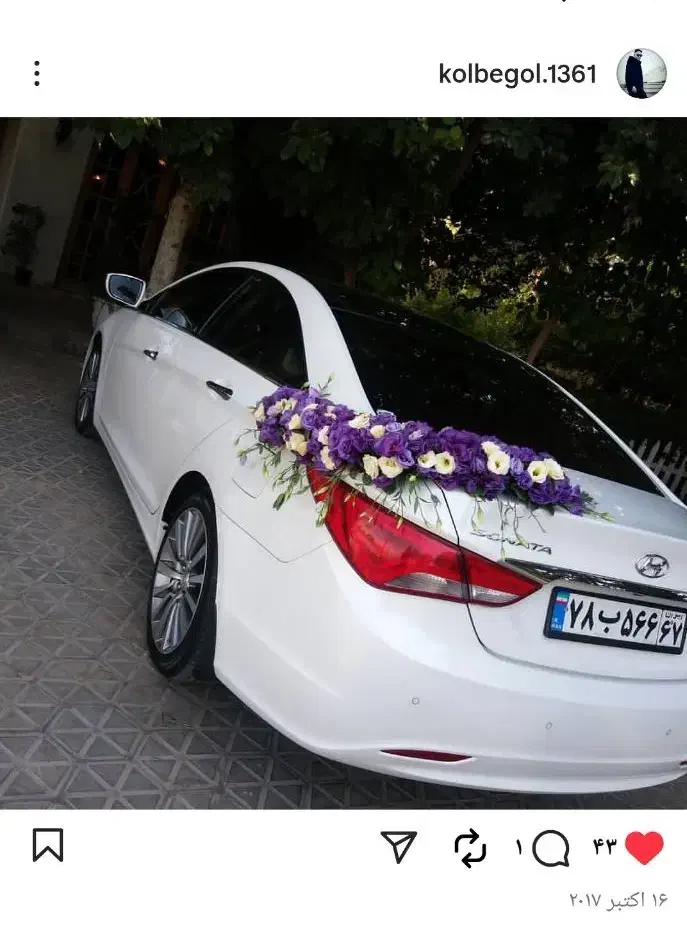 گل وگیاه لاکچری، کیفیت بالا، قیمت مناسب|گل و گیاه طبیعی|لنجان, |دیوار