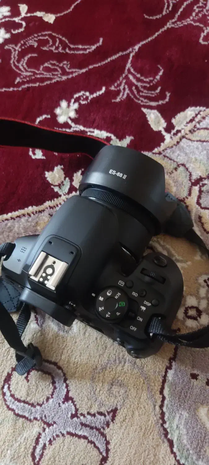 دوربین عکاسی|دوربین عکاسی و فیلم‌برداری|سقز, |دیوار