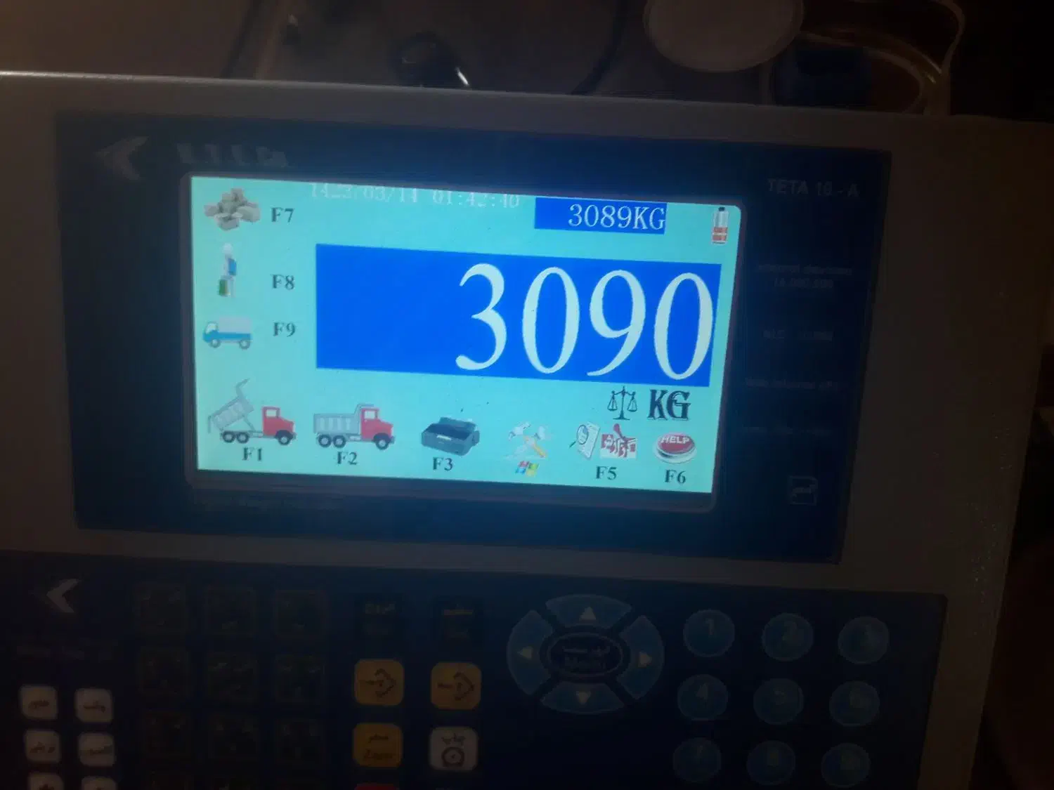 درخت صنوبر سه لای|گل و گیاه طبیعی|اهر, |دیوار