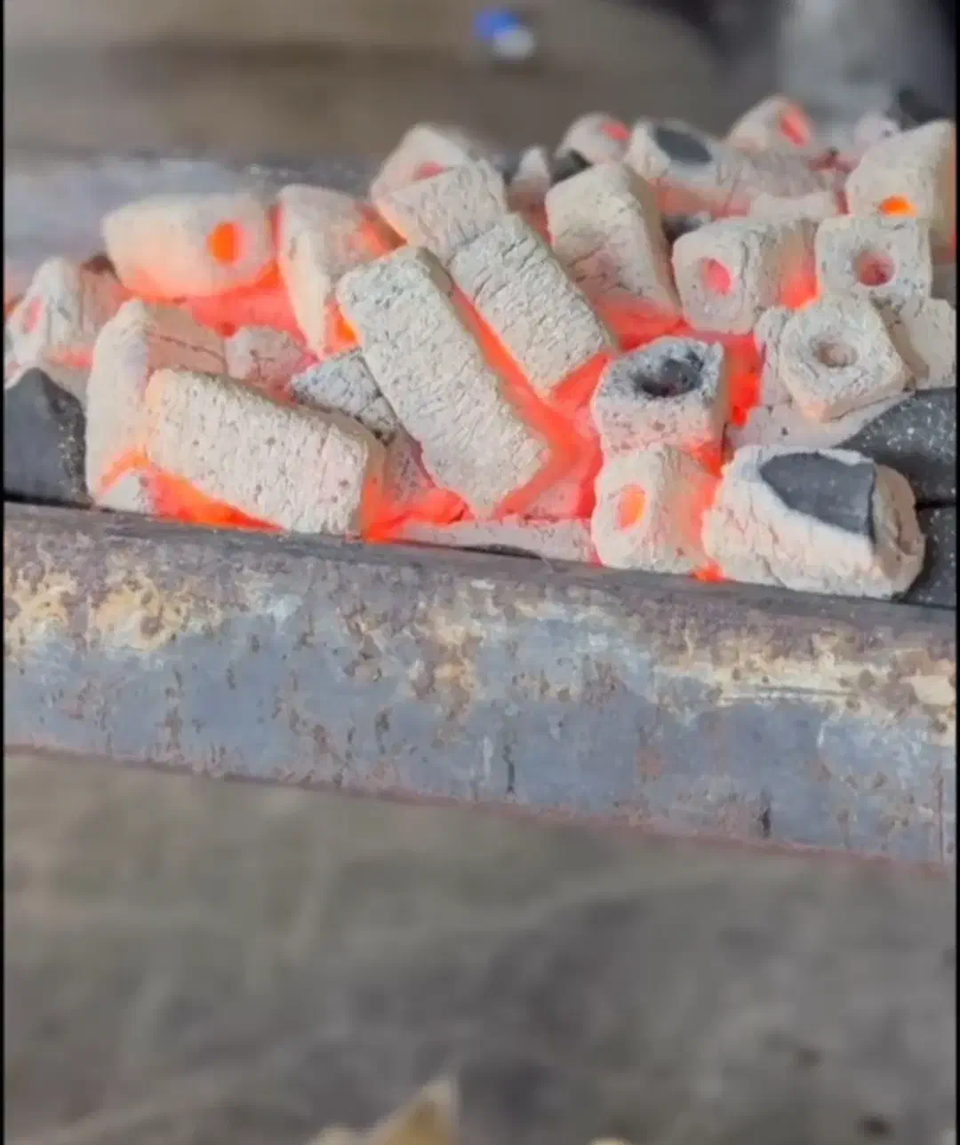 زغال خودسوز کبابی(فشرده)|کوهنوردی و کمپینگ|سقز, |دیوار