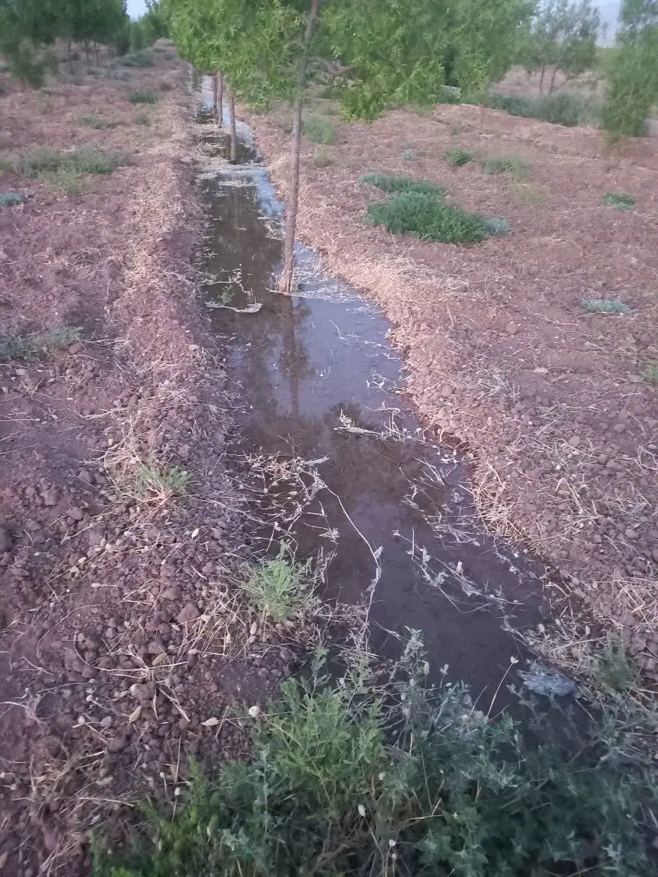 تصویر 7