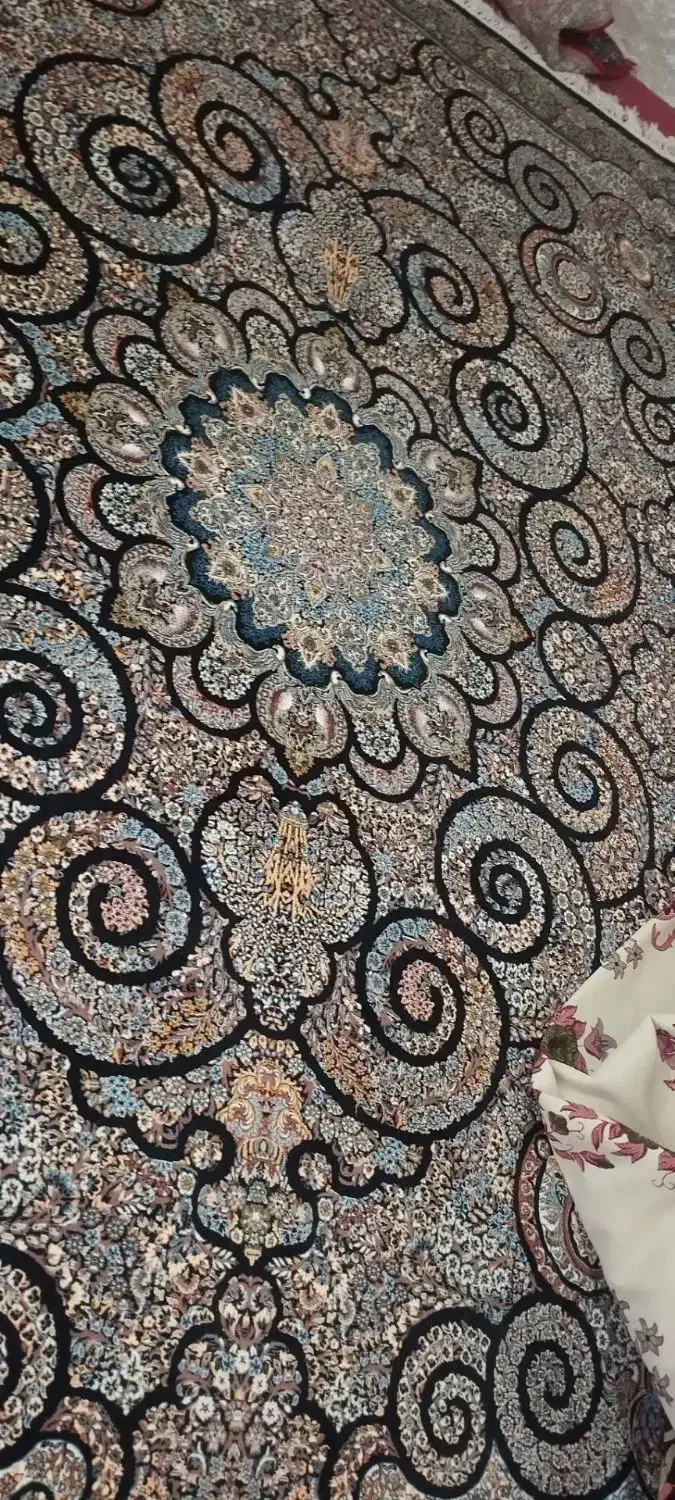 فرش|فرش|زنجان, |دیوار