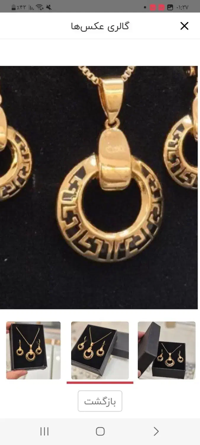 لنگه گوشواره در ابگرم کیوی گمشده|اشیا|اردبیل, |دیوار