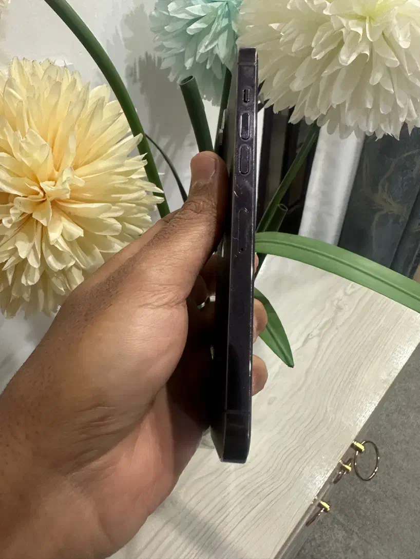 آیفون 14 پرومکس ریجستر شده|موبایل|بهبهان, |دیوار