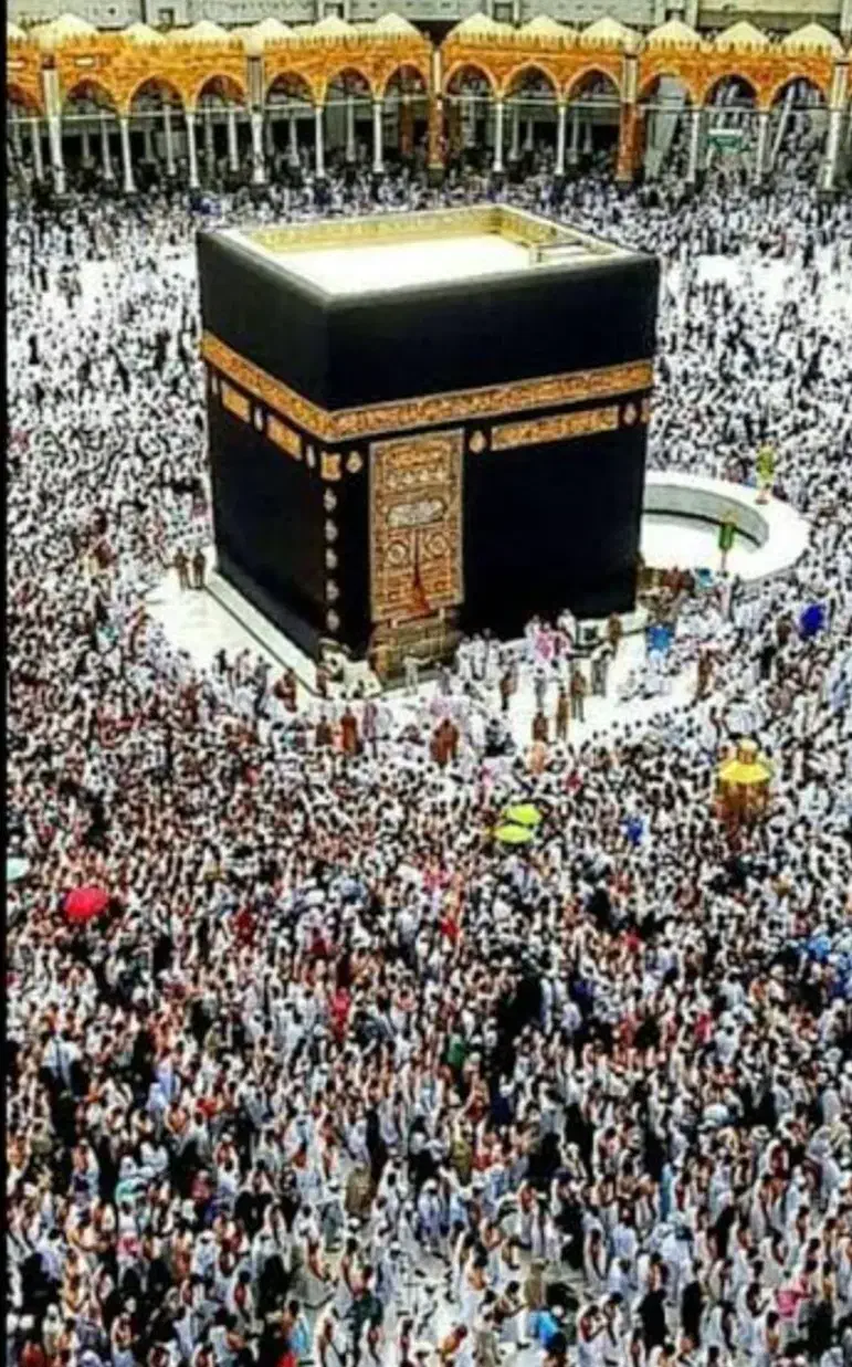 فیش حج واجب|تور و چارتر|شاهین‌شهر, نظامی|دیوار