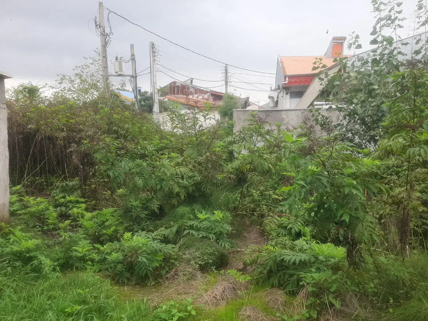 ۱۳۰م زمین مسکونی بلوار امام علی رشت قیمت شکاری|فروش زمین و ملک کلنگی|رشت, کوی قدس|دیوار