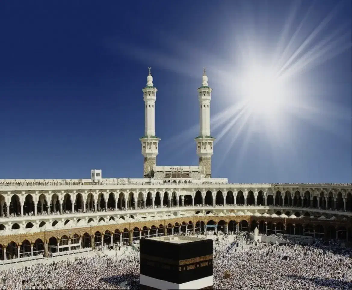 فیش حج واجب|تور و چارتر|مشهد, تربیت (صدف)|دیوار