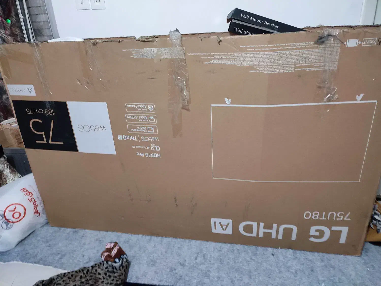 کارتن تلویزیون|تلویزیون و پروژکتور|همدان, |دیوار