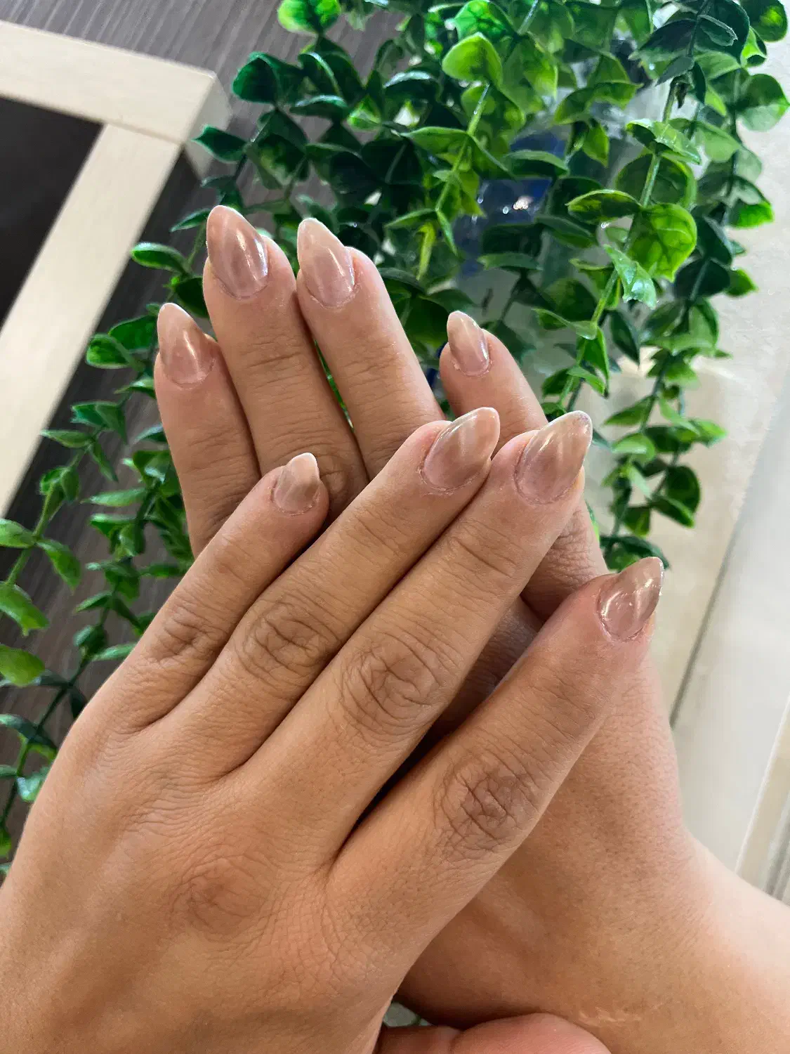 تخفیف باور نکردی کاشت ناخن و لیفت مژه ابرو|خدمات آرایشگری و زیبایی|همدان, |دیوار