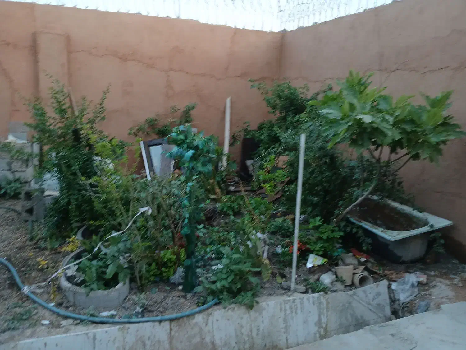 منزل ویلایی جمال آباد کرونی|اجارهٔ خانه و ویلا|شیراز, جمال آباد|دیوار