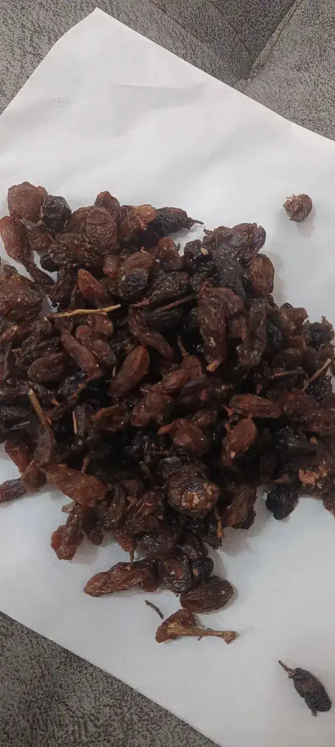 کشمش|خوردنی و آشامیدنی|نیشابور, گنبد سبز|دیوار