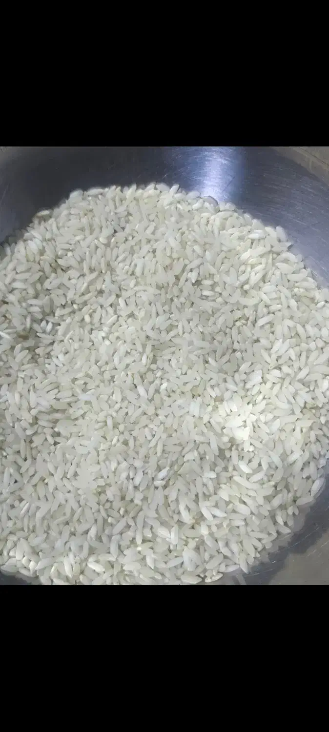 برنج اصل چمپا کره|خوردنی و آشامیدنی|یاسوج, |دیوار