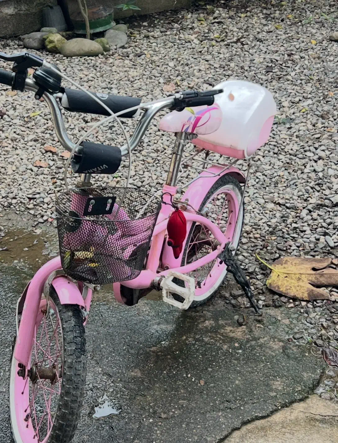 دوچرخه دخترانه|دوچرخه، اسکیت، اسکوتر|رشت, یخسازی|دیوار