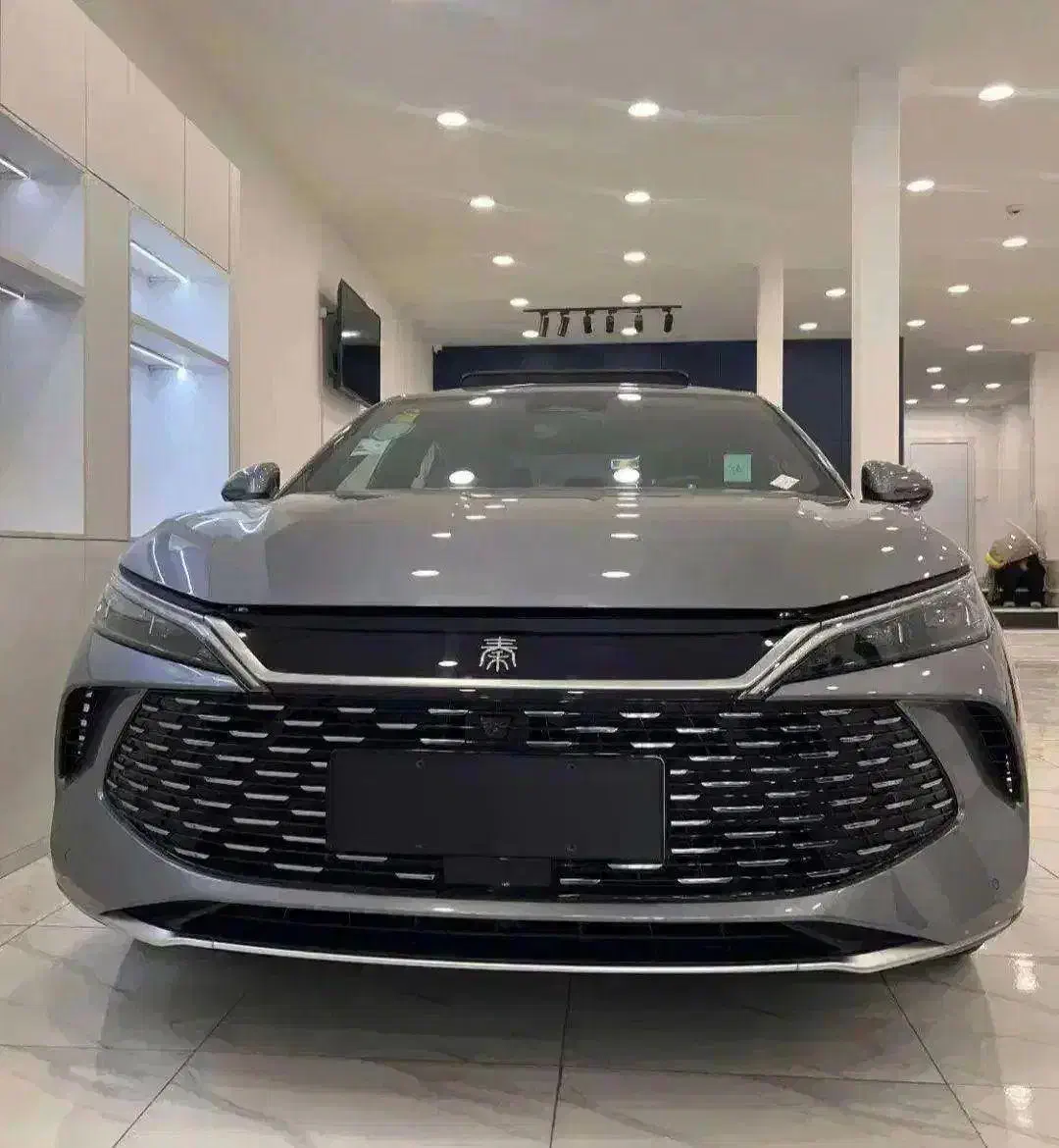 فوری بی وای دی byd چین ال ۲۰۲۵فوری|خودرو سواری و وانت|تهران, جوادیه|دیوار