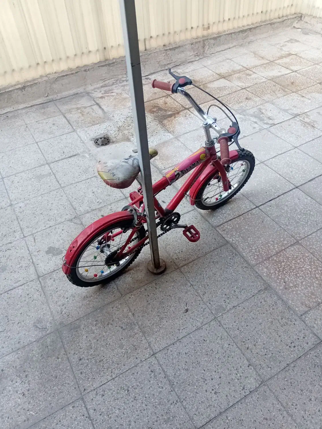 دوچرخه|دوچرخه، اسکیت، اسکوتر|تهران, شیوا|دیوار