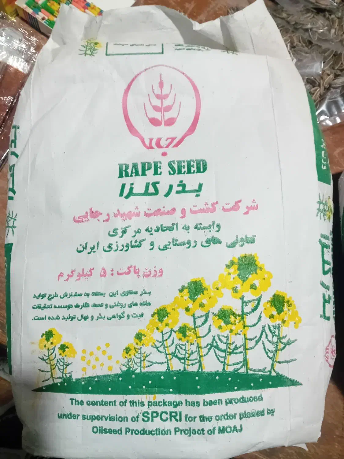 بذر کلزا هایولا ۵۰|گل و گیاه طبیعی|انبارآلوم, |دیوار