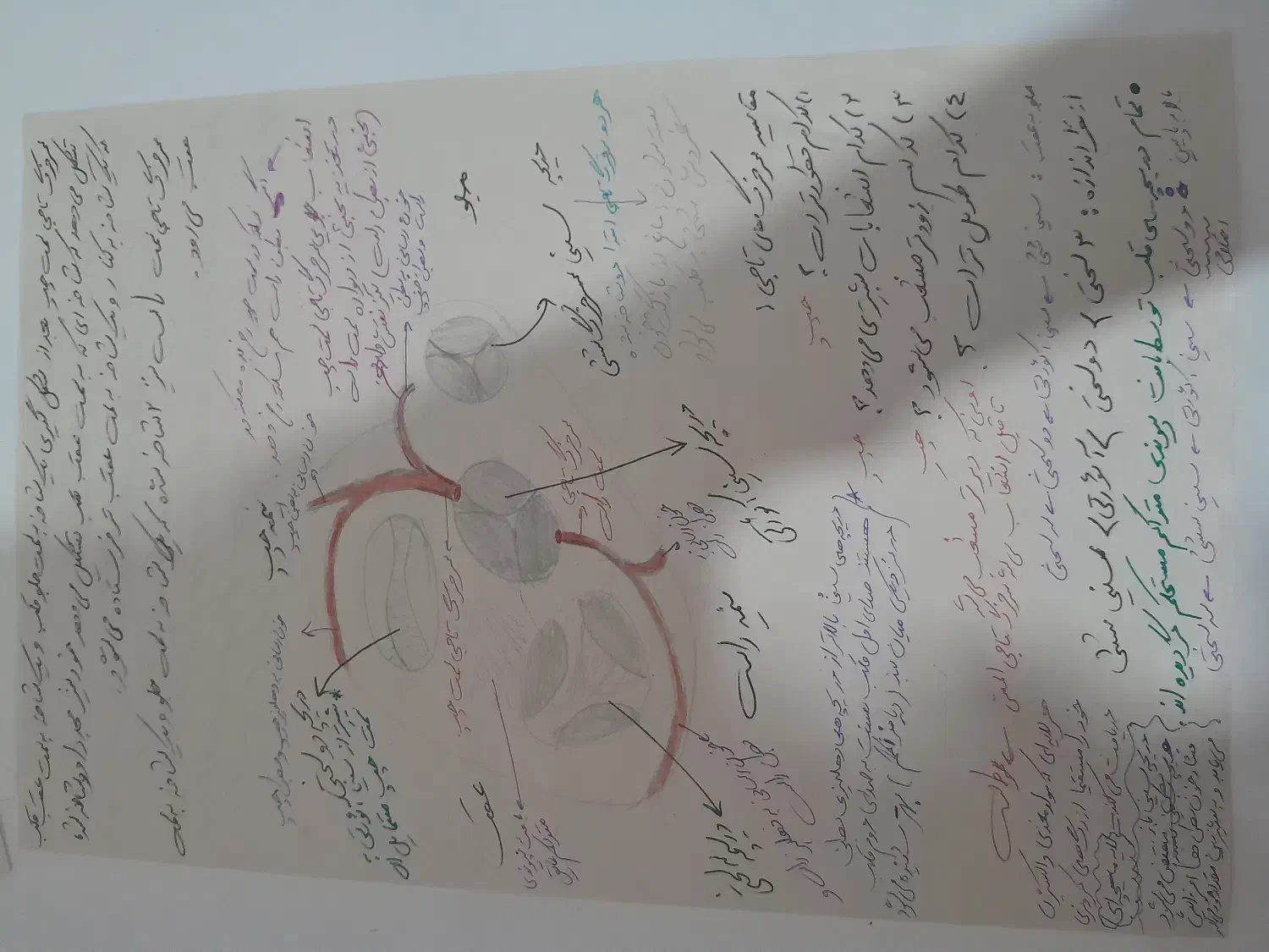 جزوه شکل زیست شناسی|کتاب و مجله آموزشی|شیراز, شهرک فرهنگیان|دیوار