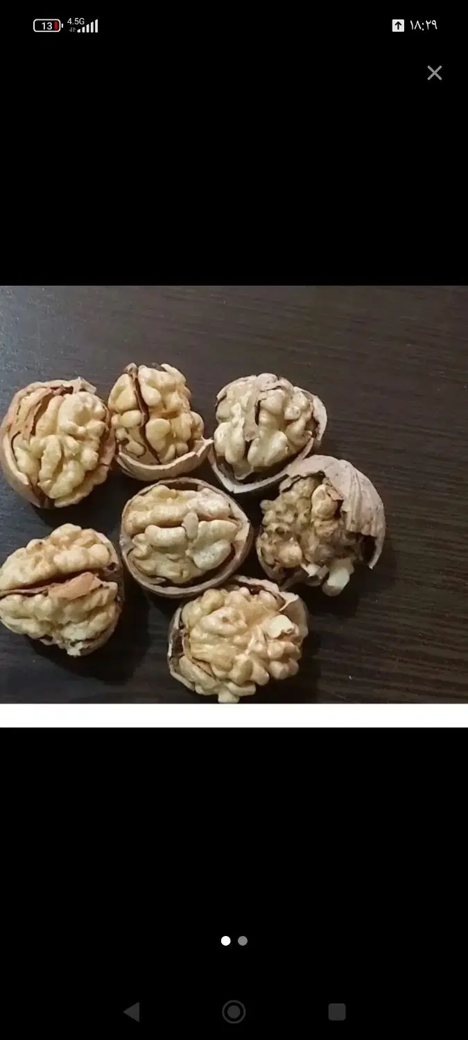 گردو|خوردنی و آشامیدنی|لنجان, |دیوار