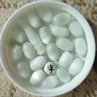 تعدادی سنگ اوپالیت چشم ببری|کلکسیون اشیاء عتیقه|تهران, سید خندان (جلفا)|دیوار