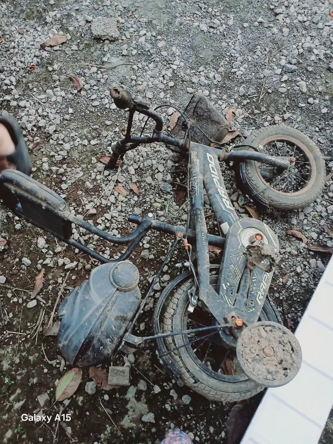 دوچرخه|دوچرخه، اسکیت، اسکوتر|ماسال, |دیوار