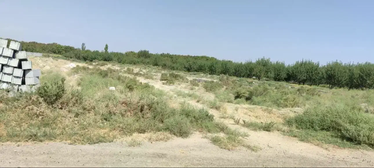 فروش زمین صنعتی دارای مجوز زیر قیمت|فروش دفتر صنعتی، کشاورزی، تجاری|ایلخچی, |دیوار