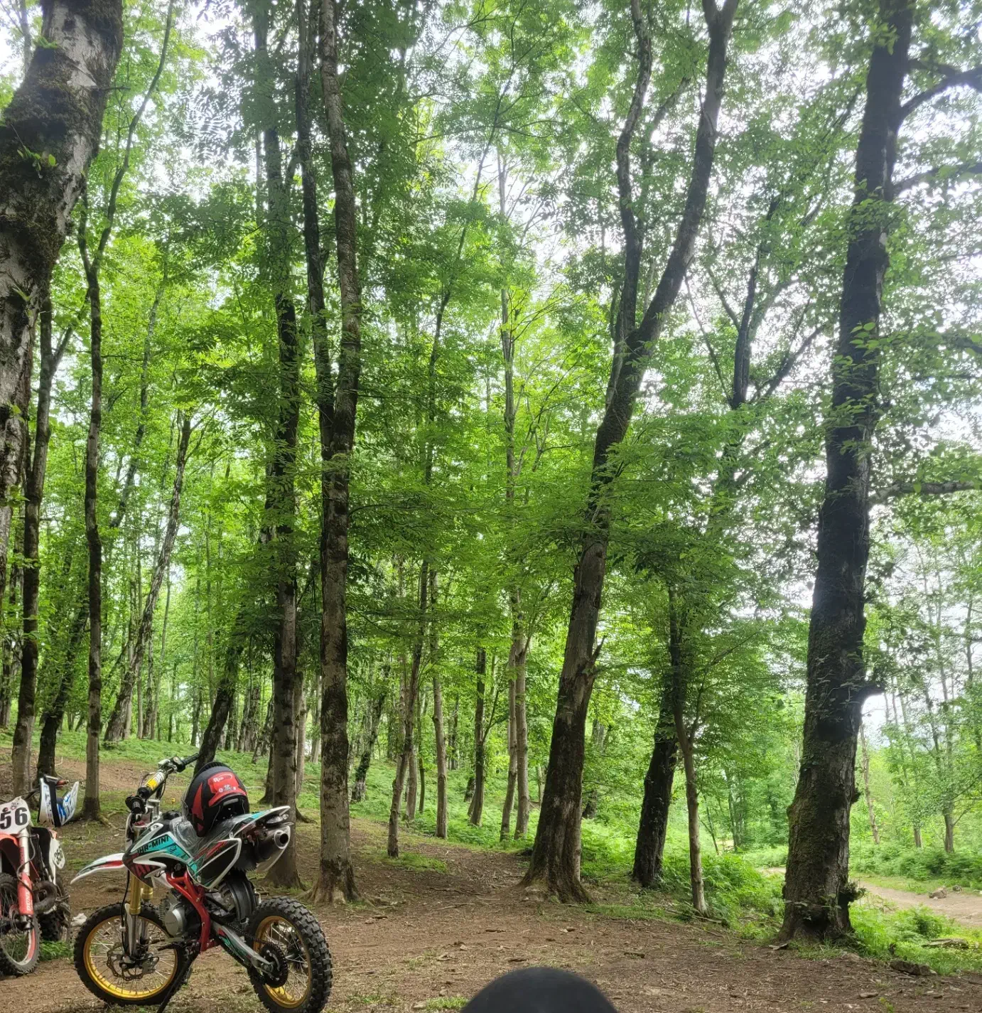 موتور مینی کراس-تریل ۱۱۰cc جهانرو ۱۴۰۲|موتورسیکلت|لنگرود, |دیوار