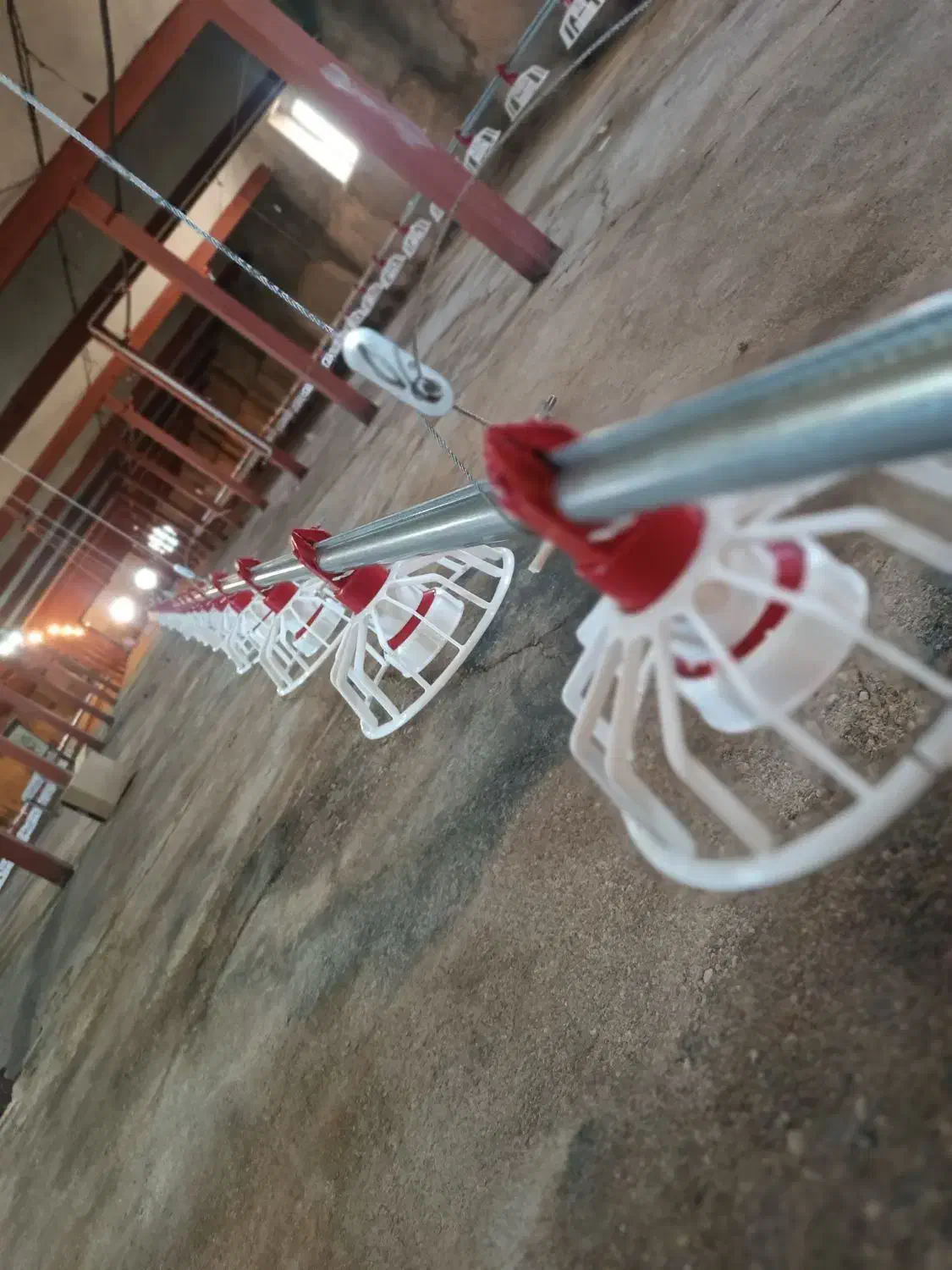 تجهیزات مرغداری|ماشین‌آلات صنعتی|آوج, |دیوار